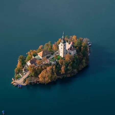 & Yoga Bled-Recica