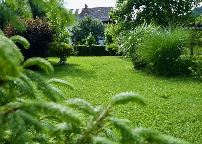 & Yoga * Bled-Recica